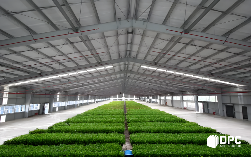 Những đặc thù về kết cấu thép trong công trình nông nghiệp